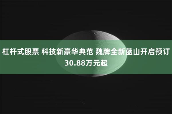 杠杆式股票 科技新豪华典范 魏牌全新蓝山开启预订30.88万元起