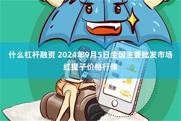 什么杠杆融资 2024年9月5日全国主要批发市场红提子价格行情