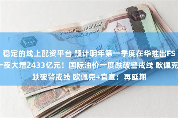 稳定的线上配资平台 预计明年第一季度在华推出FSD 特斯拉市值一夜大增2433亿元！国际油价一度跌破警戒线 欧佩克+官宣：再延期