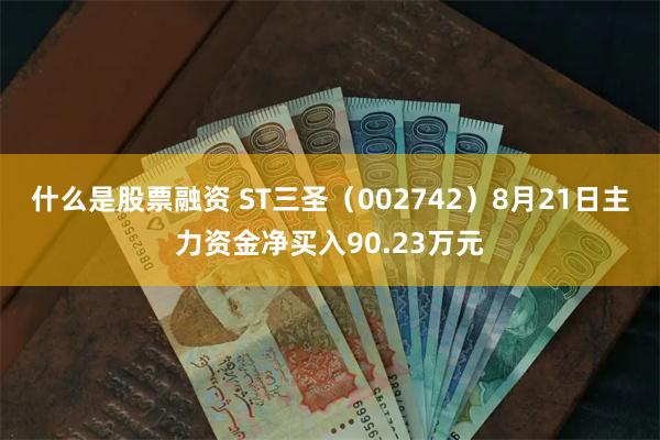 什么是股票融资 ST三圣（002742）8月21日主力资金净买入90.23万元