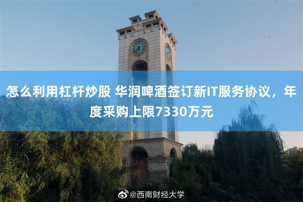 怎么利用杠杆炒股 华润啤酒签订新IT服务协议，年度采购上限7330万元