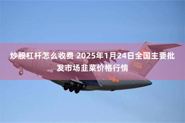 炒股杠杆怎么收费 2025年1月24日全国主要批发市场韭菜价格行情