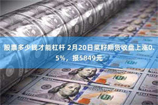 股票多少钱才能杠杆 2月20日菜籽期货收盘上涨0.5%，报5849元