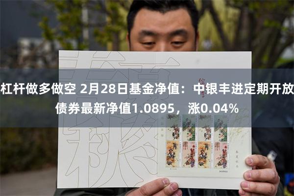 杠杆做多做空 2月28日基金净值：中银丰进定期开放债券最新净值1.0895，涨0.04%